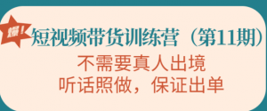 短视频带货训练课程：不需要真人出境，听话照做，保证出单-欢迎访问本站