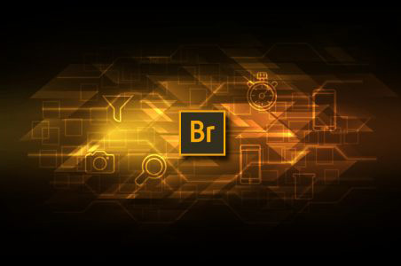 图片[1]-Adobe Bridge（简称 Br）-欢迎访问野路子中心网