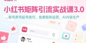 小红书矩阵引流实战课3.0：账号养号起号技巧，免裴矩阵运营，AI内容生产-亿纬资源网-野路子中心-欢迎访问野路子中心网