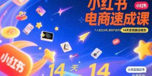 小红书虚拟电商速成课：个人定位分析，原创产品开发，14天变现路径规划-亿纬资源网-野路子中心-欢迎访问野路子中心网