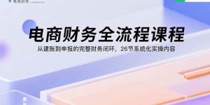 电商财务全流程课程：从建账到申报的完整财务闭环，26节系统化实操内容-欢迎访问野路子中心网