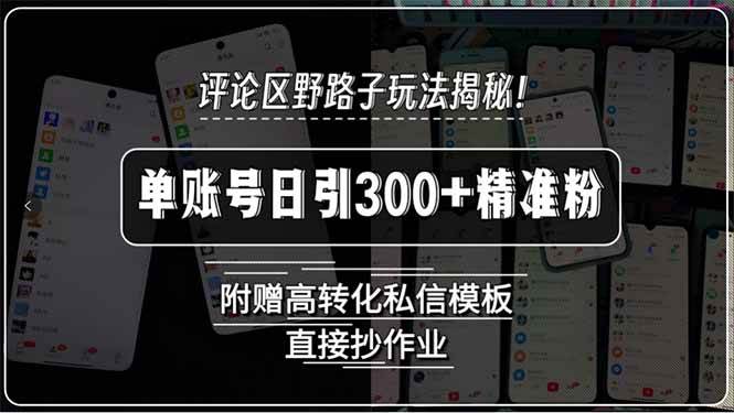 图片[1]-评论区野路子玩法揭秘！单账号日引300+精准粉，附赠高转化私信模板，-亿纬资源网-野路子中心-欢迎访问野路子中心网