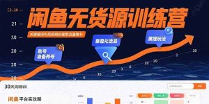 咸鱼无货源训练营：账号准备养号/垂直化选品/黑搜玩法，0基础30天盈利指南-亿纬资源网-野路子中心-欢迎访问野路子中心网