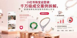 小红书珠宝运营课：千万级成交案例拆解，搭建高转化珠宝账号的核心方法-欢迎访问野路子中心网