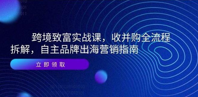 图片[1]-跨境致富实战课，收并购全流程拆解，自主品牌出海营销指南-亿纬资源网-野路子中心-欢迎访问野路子中心网