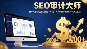 SEO审计大师：教你精通网站分析，修复SEO问题，为有效的审核收费5000美元以上！-欢迎访问野路子中心网