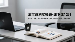 淘宝盈利实操班-线下课12月，从选品、流量、转化到渠道拓展，掌握SOP+12门技术（音频+字幕）-欢迎访问野路子中心网