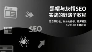 黑帽与灰帽SEO实战的野路子教程：泛目录秒收，蜘蛛池搭桥，霸屏截流，7天抢占首页暴利词-欢迎访问野路子中心网