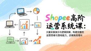 Shopee高阶运营系统课：大量实操演示与逻辑拆解，构建完整的运营思维与落地能力，店铺高效增长-欢迎访问野路子中心网